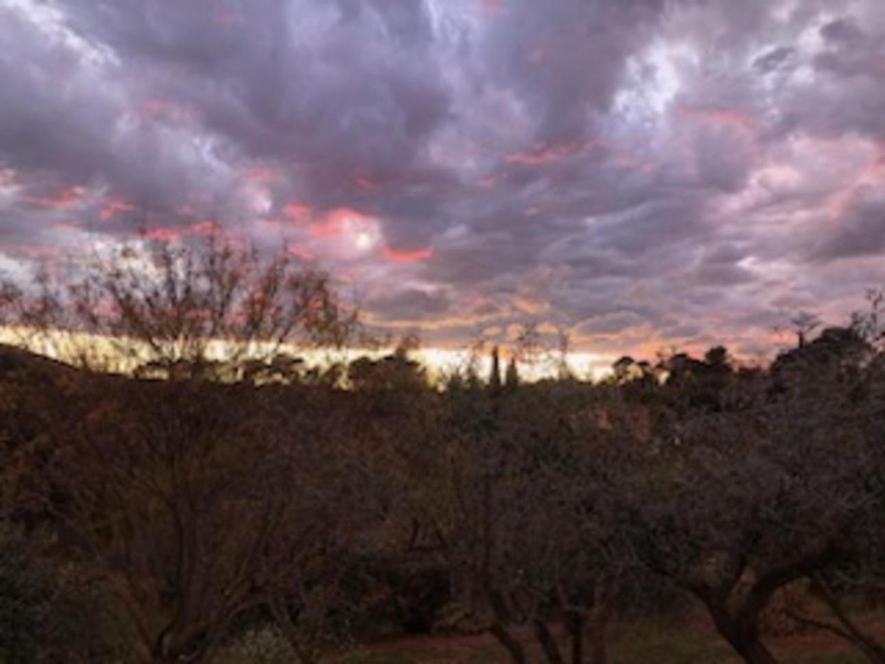 Bed and Breakfast Bastide Saint Bernard Le Thoronet Exterior foto